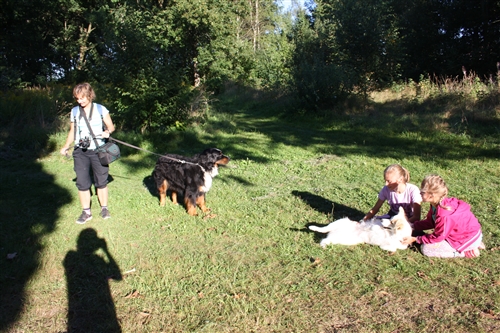 Obrázek v galerii